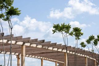 Faire poser sa pergola par un professionnel : étapes et garanties