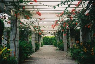 Pergola bioclimatique : avantages et inconvénients réels