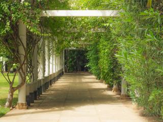 Pergola autoportante : liberté d’implantation au jardin