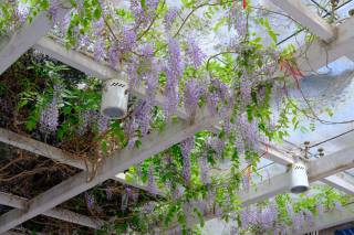 Pergola bioclimatique 4x3 : dimensions, formalités et conseils