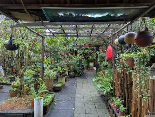 Pergola étanche à la pluie : quelles solutions et leurs limites