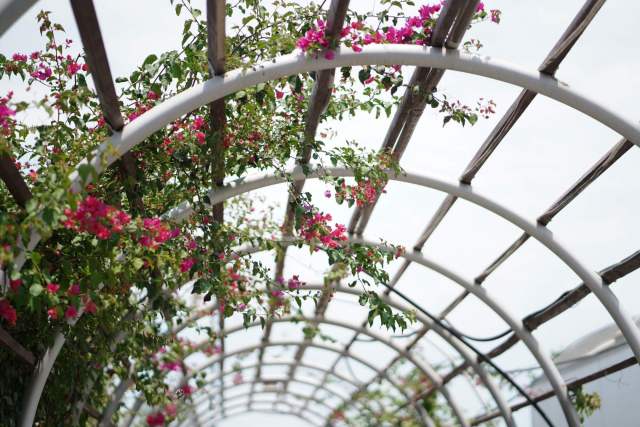 Pergola à toile rétractable : une alternative économique aux lames Pergola à toile rétractable : une alternative économique aux lames